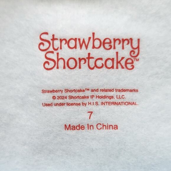 Strawberry Shortcake Kids Crewneck Sweatshirt NWT – Light Blue🍓🌈 - Picture 13 of 13